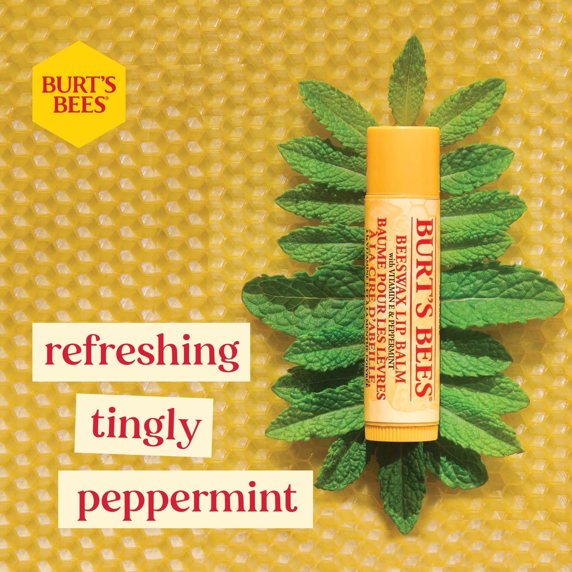 3 Beeswax Sensory Ingredient PDP
