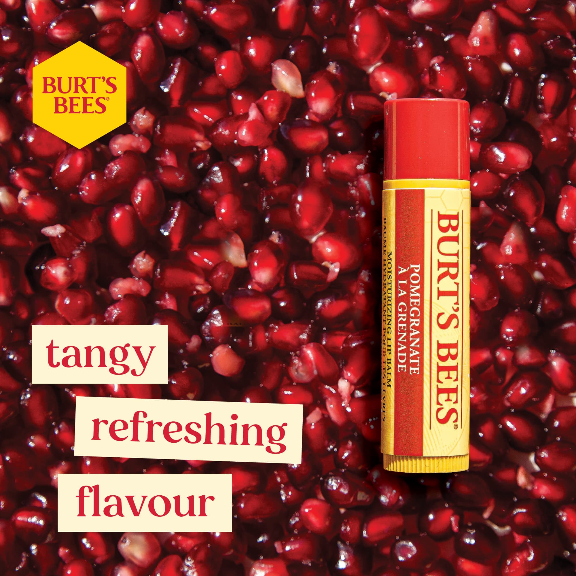 3 Pomegranate Sensory Ingredient PDP